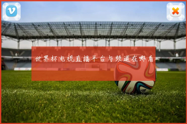 世界杯电视直播平台与频道在哪看