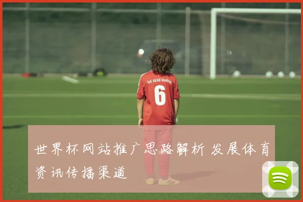 世界杯网站推广思路解析 发展体育资讯传播渠道