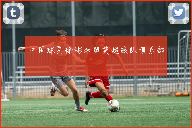 中国球员徐彬加盟英超狼队俱乐部