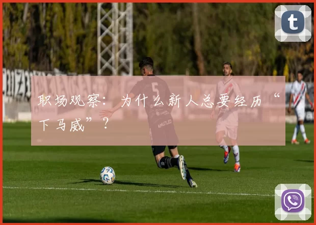 职场观察：为什么新人总要经历“下马威”？