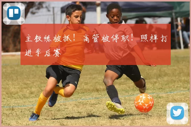 主教练被抓！高管被停职！照样打进季后赛