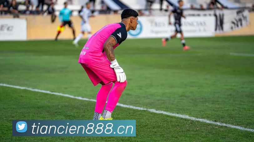 开云股份有限公司 - (中国大陆)Kaiyun·官方网站平台生态图