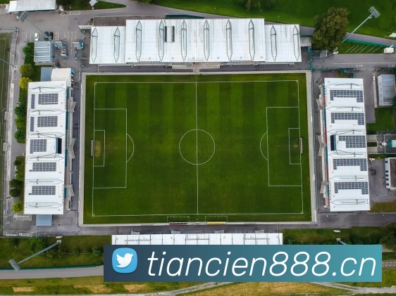 开云股份有限公司 - (中国大陆)Kaiyun·官方网站APP 封面图